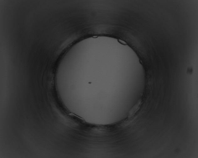 X0000091860164200710031048