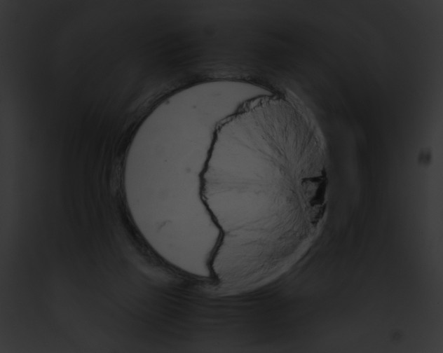 X0000091860165200710031048