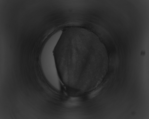 X0000091860168200710031048