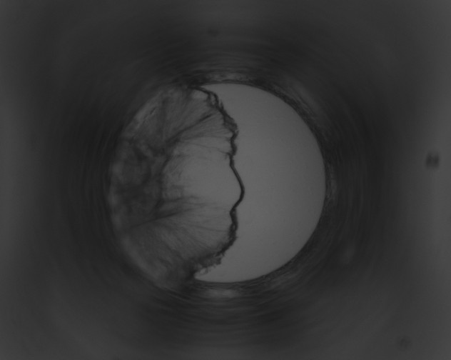 X0000091860169200710031048