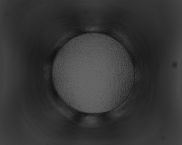 X0000091860171200710031048