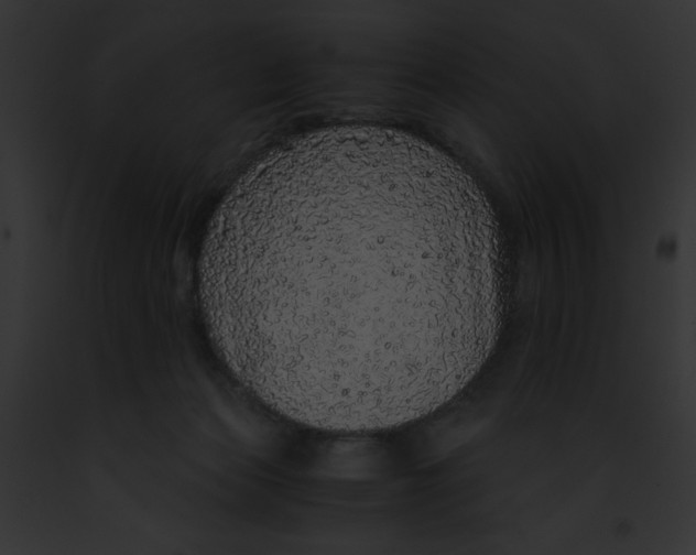 X0000091860173200710031048