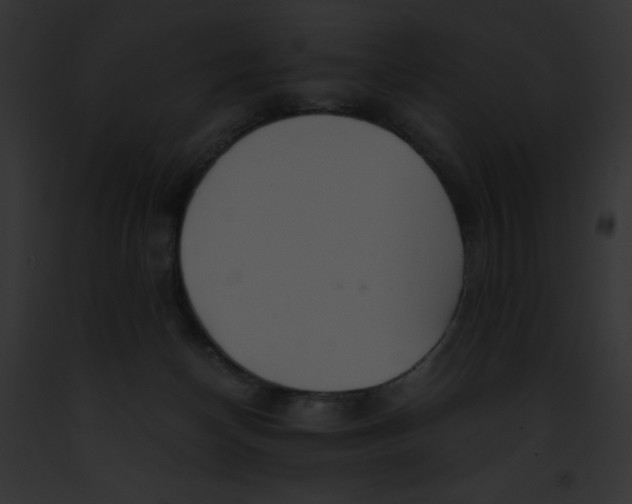 X0000091860174200710031048