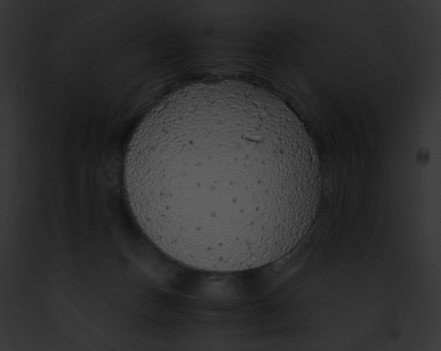 X0000091860175200710031048