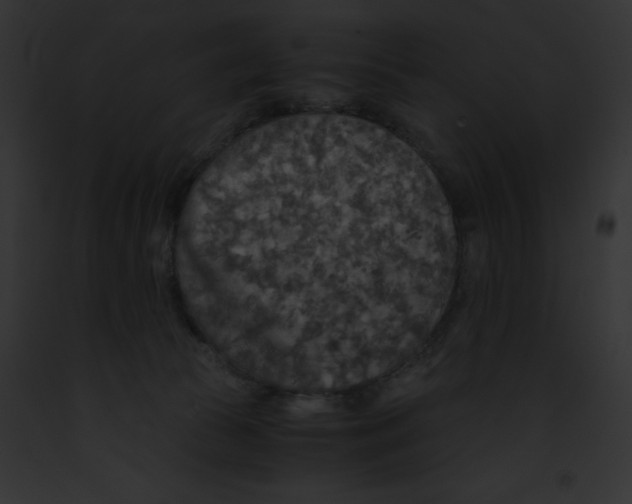 X0000091860177200710031048