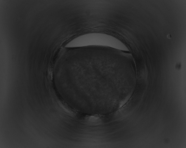 X0000091860180200710031048