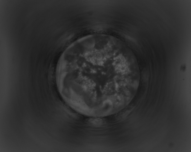 X0000091860181200710031048