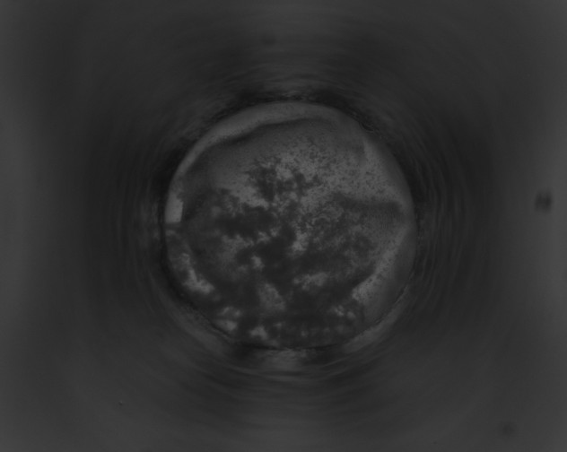 X0000091860182200710031048