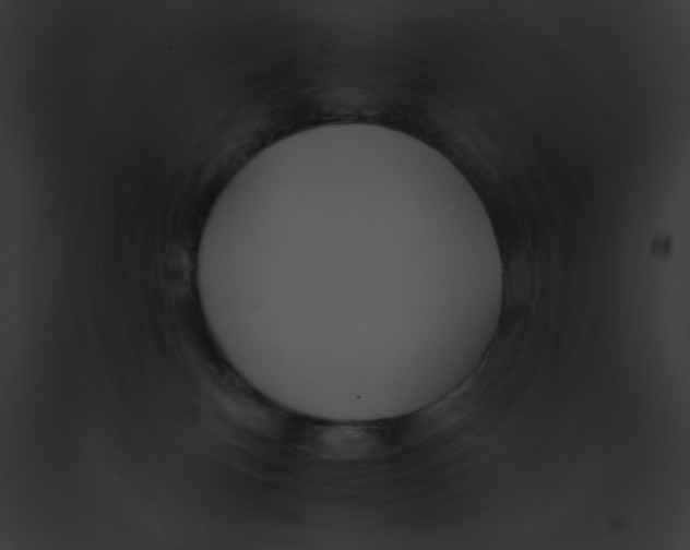 X0000091860183200710031048