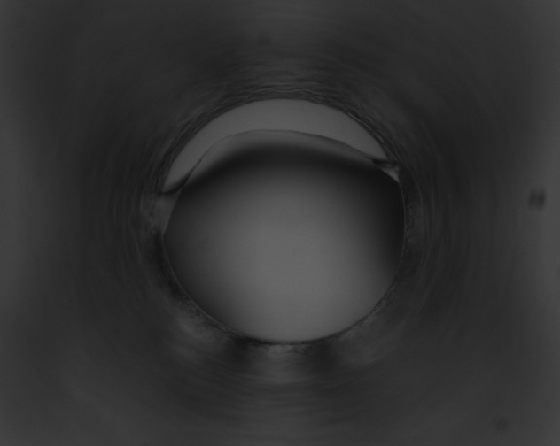 X0000091860184200710031048