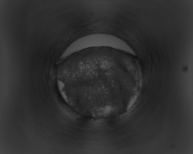 X0000091860186200710031048