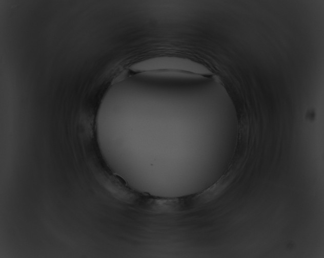 X0000091860188200710031048