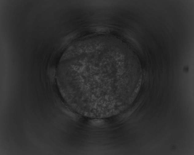 X0000091860189200710031048