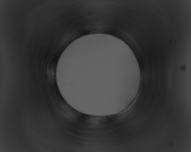 X0000091860190200710031048