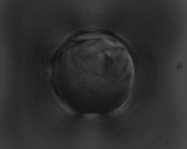 X0000091860192200710031048