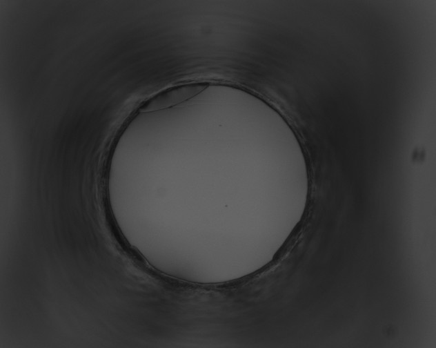 X0000091860193200710031047