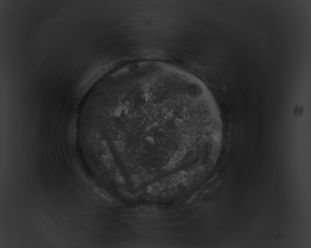 X0000091860194200710031047