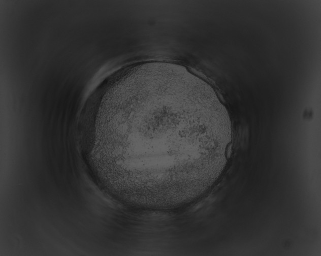 X0000091860198200710031047