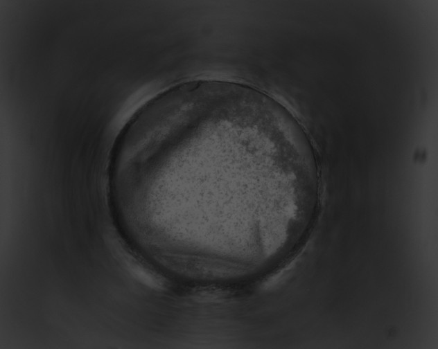 X0000091860199200710031047