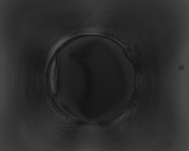 X0000091860200200710031047