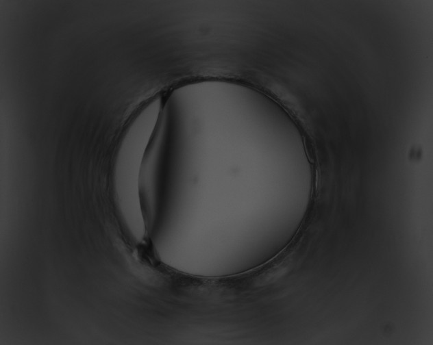 X0000091860201200710031047