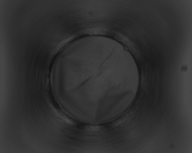 X0000091860202200710031047