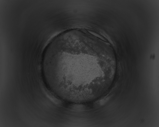 X0000091860203200710031047