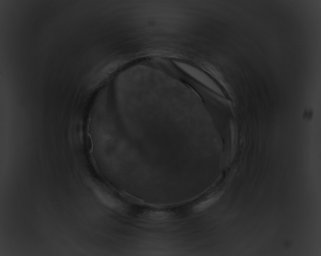 X0000091860205200710031047