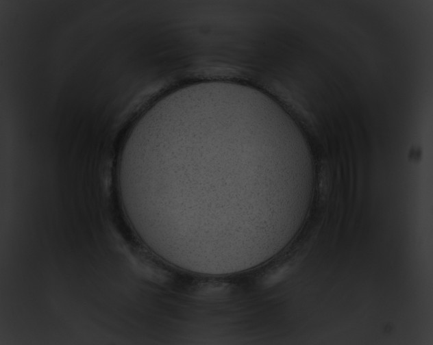 X0000091860206200710031047