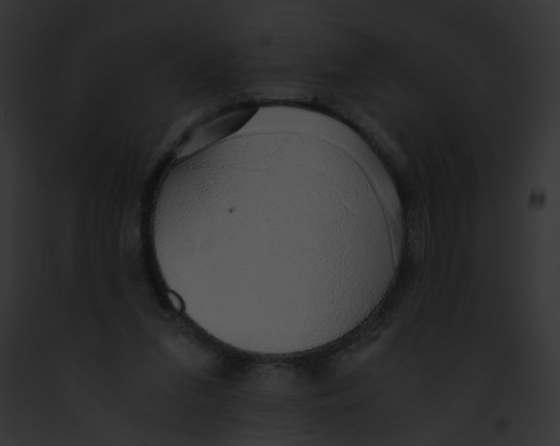 X0000091860207200710031047