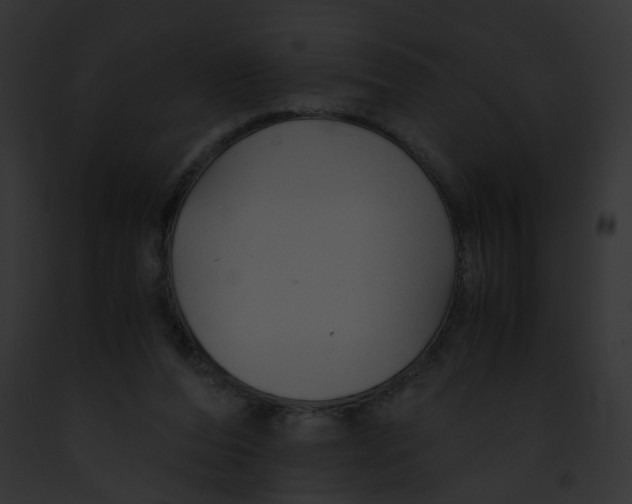 X0000091860208200710031047