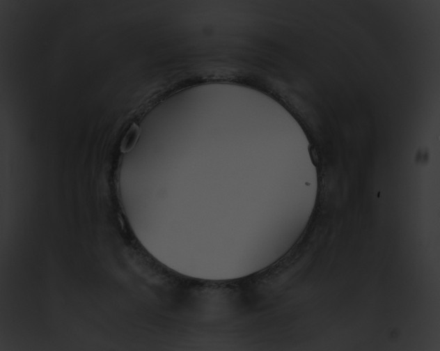 X0000091860209200710031047