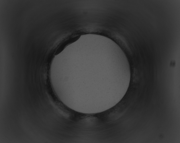 X0000091860210200710031047