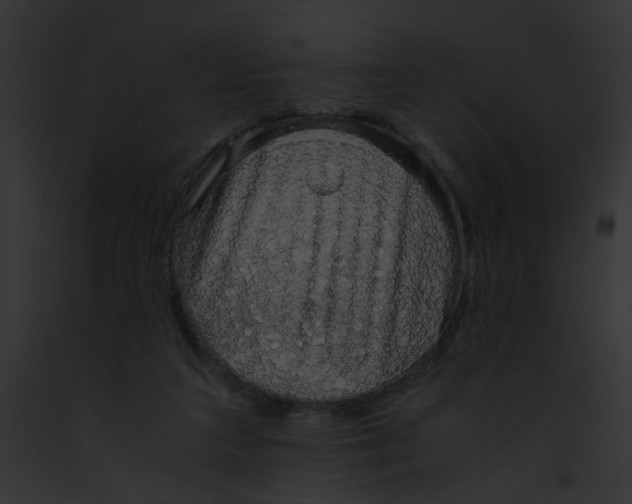 X0000091860211200710031047