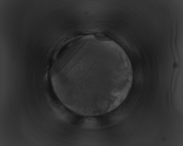 X0000091860214200710031047