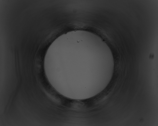 X0000091860215200710031047