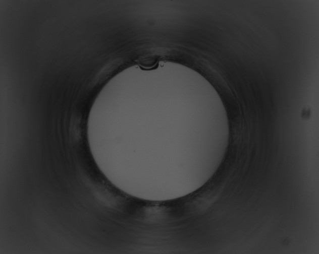 X0000091860216200710031047