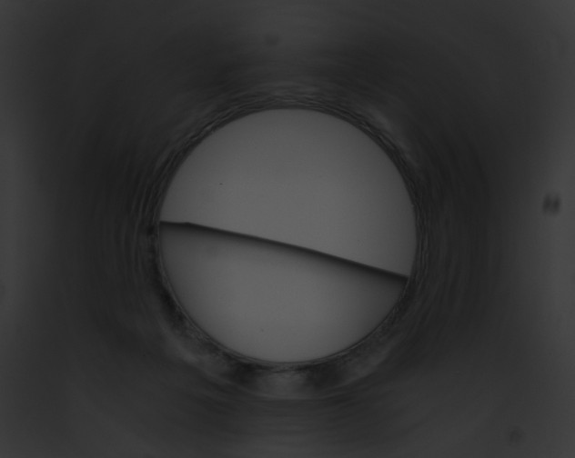 X0000091860217200710031047