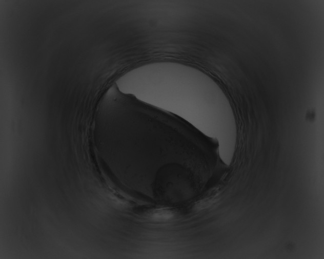 X0000091860219200710031047