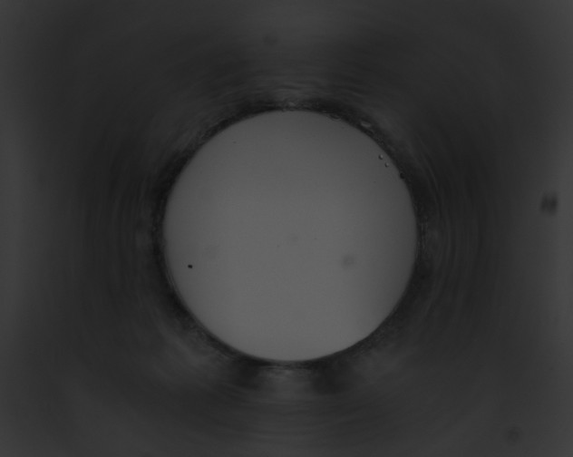 X0000091860221200710031047