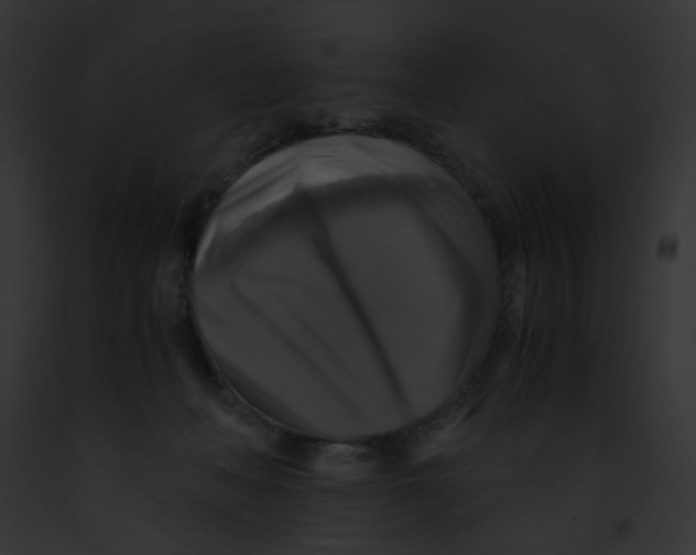 X0000091860222200710031047