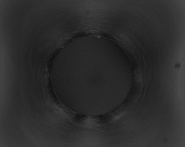 X0000091860223200710031047