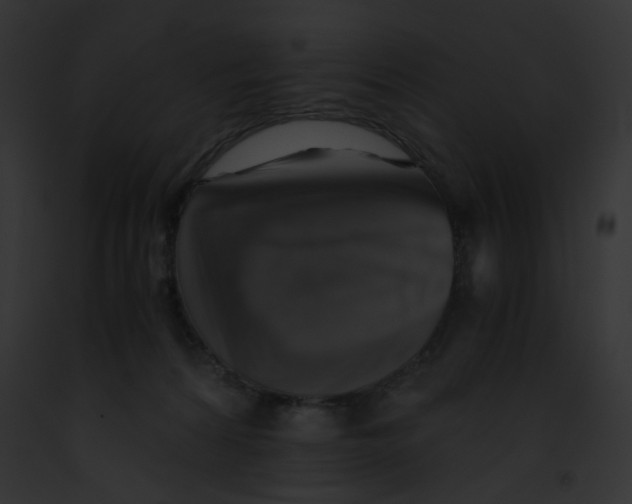 X0000091860224200710031047