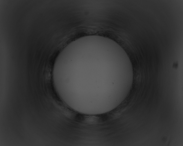 X0000091860226200710031047