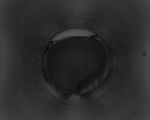 X0000091860227200710031047