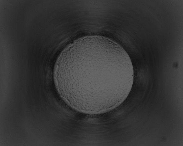 X0000091860228200710031047