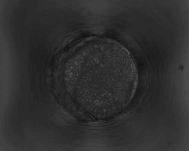 X0000091860229200710031047