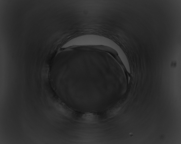 X0000091860231200710031047