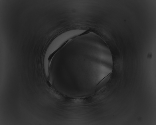 X0000091860233200710031047