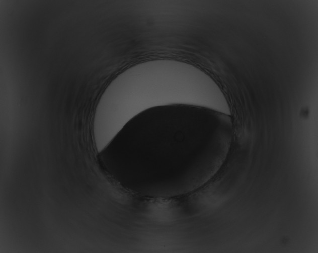 X0000091860235200710031047